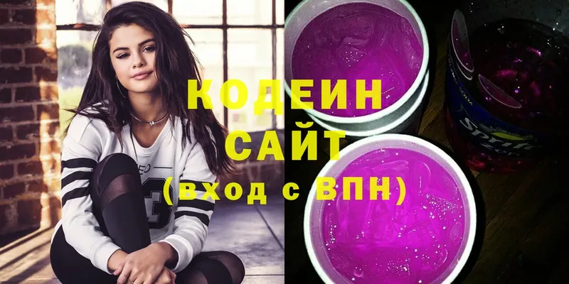 где купить наркотик  Моздок  Кодеиновый сироп Lean Purple Drank 